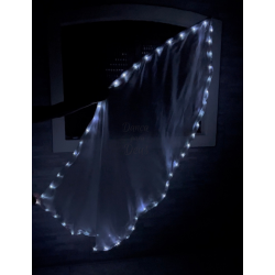 Bandeira LED Meio Circulo