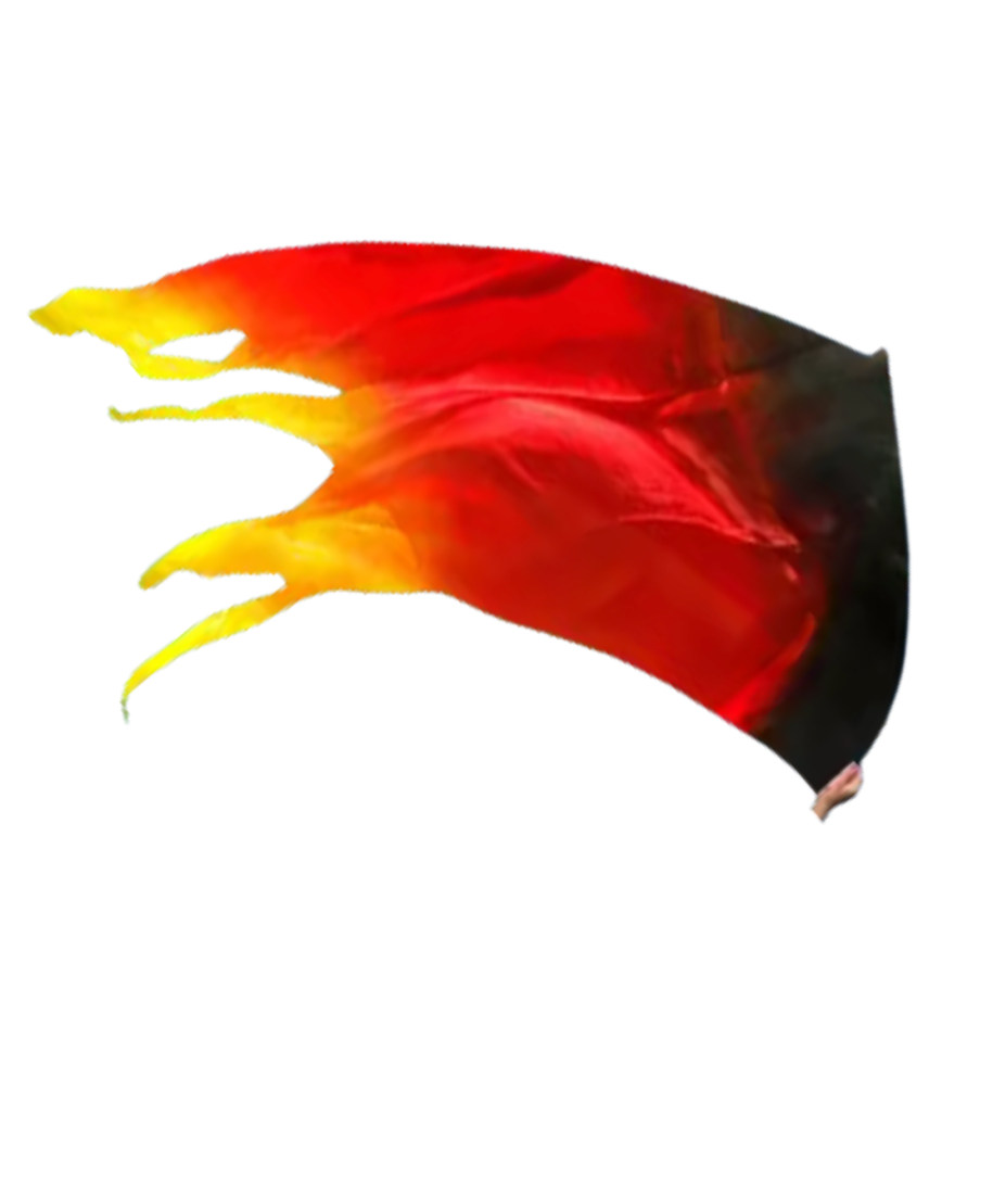 Bandeira Flexível de Seda